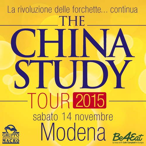 banner 500x500 china study tour modena